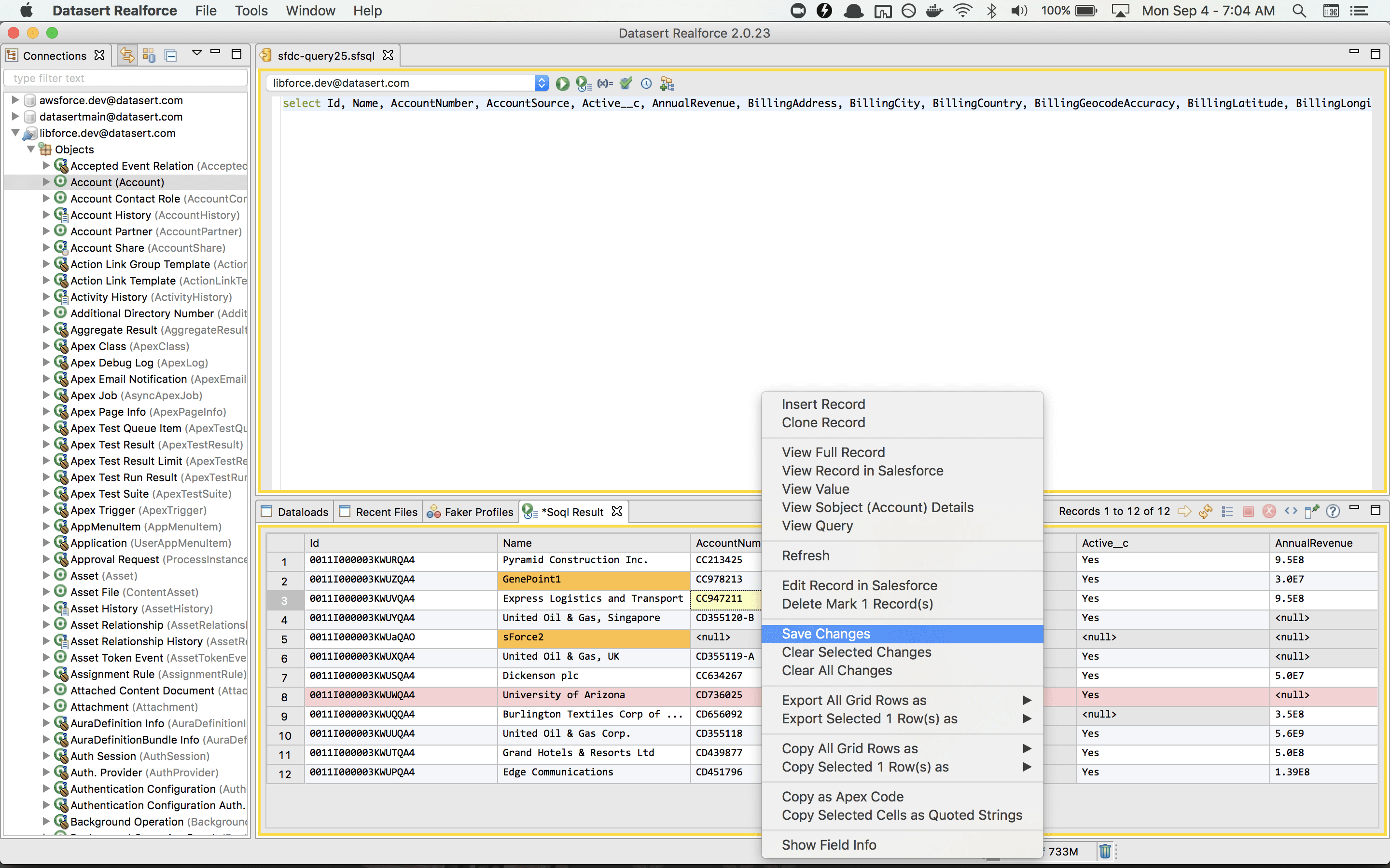 Realfire record editing interface